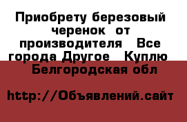 Приобрету березовый черенок  от производителя - Все города Другое » Куплю   . Белгородская обл.